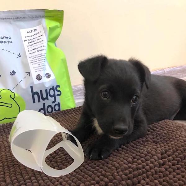 Ula & Baster